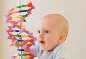 Генетична експертиза на батьківство ціна