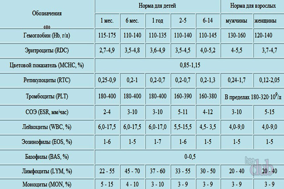 Загальний аналіз крові норма і розшифровка результатів таблиця