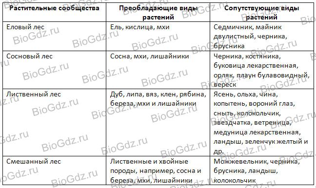 Урок биологии 6 класс растительные сообщества презентация